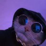 Kelly Daniel's profile picture