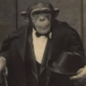 Fancy Monkey's profile picture