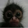 Boomer's profile picture