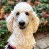 Profilbild von DaisyGirl2023