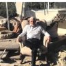 Profilbild von سنوار الحجاز