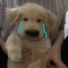 Фото профиля - น้องแมวหลิมของนูน่า -