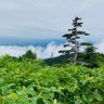 Profilbild von さにお/kop