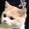 猫卿@希灵帝国EN35节点柯伊伯站 profil fotoğrafı