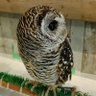 ★HIRO★ profil fotoğrafı