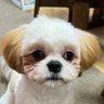オヤジダンサー profil fotoğrafı