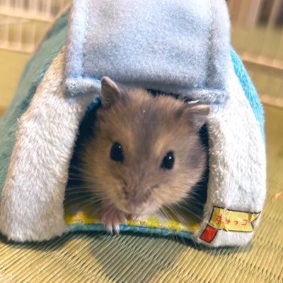 M0ig2THmgmXs9eE's profile picture