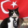 kemalistuxedo profil fotoğrafı