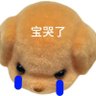 Profilbild von 小几tker