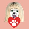 Profilbild von Luna ๐ช๐ธ Gobierno dimisiรณn