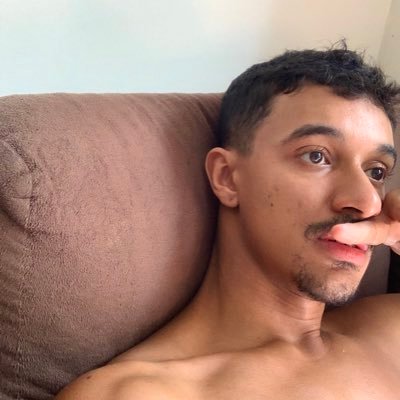 João Martins's profile picture