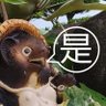 こんたらう's profile picture