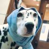 まりゅこ 的头像