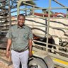 Profilbild von Dorsil Livestock and Logistics!