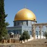 محور 🇵🇸💚 profil fotoğrafı