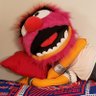 Marshal Chaifetz's profile picture
