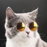 Profilbild von k