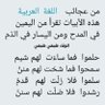 Profilbild von ابو عبدالله العراقي