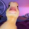 Profilbild von v ☭