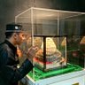 سيف العلوم 的头像