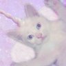 Profilbild von trin ♡︎
