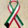 نايف العجمي's profile picture
