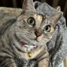 Profilbild von E