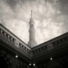 مهند's profile picture