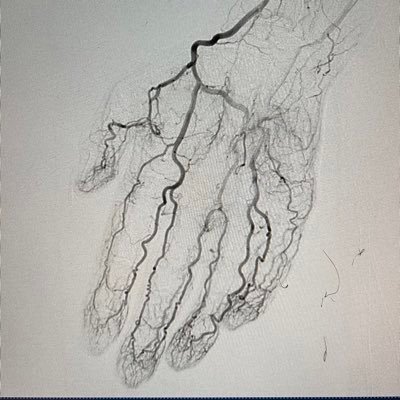 realarainmd's profile picture