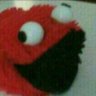 Pau's profile picture
