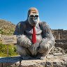 Nilla Da Gorilla ็ๅคดๅ