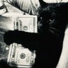 hm's profile picture