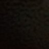 Daniel Rezende's profile picture