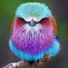 Profilbild von suleyman