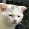 RenameCard1's profile picture