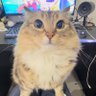 Profilbild von eepyguy