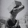 HateCollector's profile picture