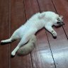Фото профиля ชอบอะไรก็ทำ ถ้าไม่ชอบคงไม่ทำ