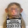 kirecburnu's profile picture