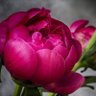 Фото профиля MsModernity