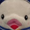 みそじぃ 的头像