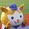 Фото профиля ベイちゃん