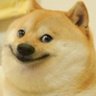 Фото профиля masterdoge987yt 🎗️
