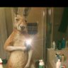 calimenio's profile picture