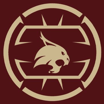 TexasStateVball's profile picture