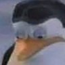 Anyone's profile picture