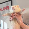 お母さん 的头像