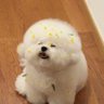 Profilbild von 饿了就吃