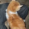 Stuart Ferguson's profile picture