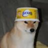 Profilbild von CQ